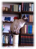thumbs/IMG_0032.JPG