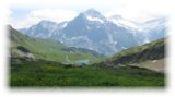 thumbs/IMG_1354.jpg