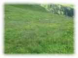 thumbs/IMG_1368.jpg
